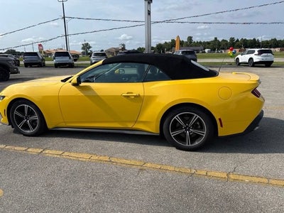 2024 Ford Mustang EcoBoost