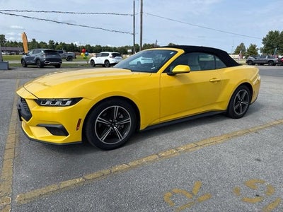 2024 Ford Mustang EcoBoost