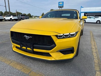 2024 Ford Mustang EcoBoost