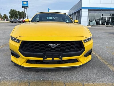 2024 Ford Mustang EcoBoost